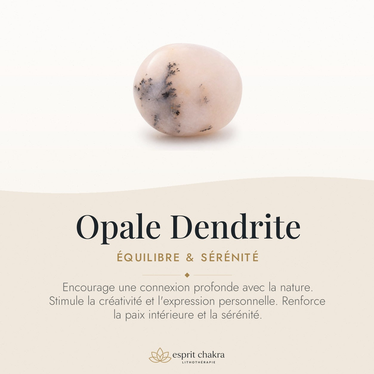 Bracelet Opale Dendrite 8 mm – Prairie Douce — vertus de la pierre
