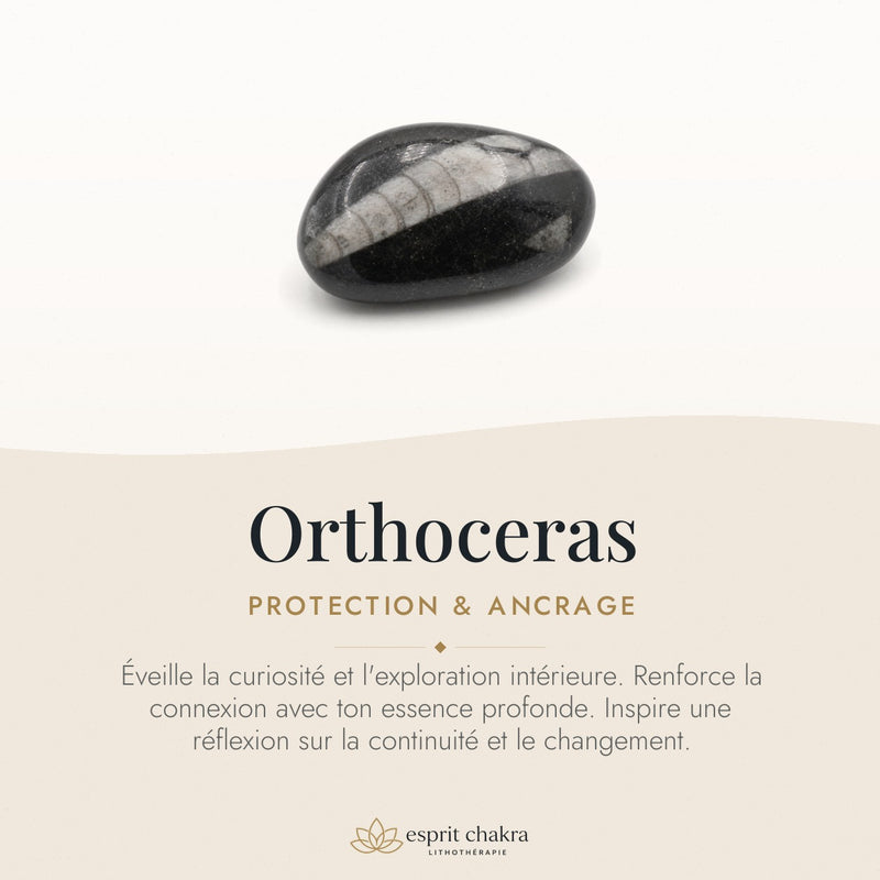 Bracelet Orthoceras 10 mm – Ancrage du Temps