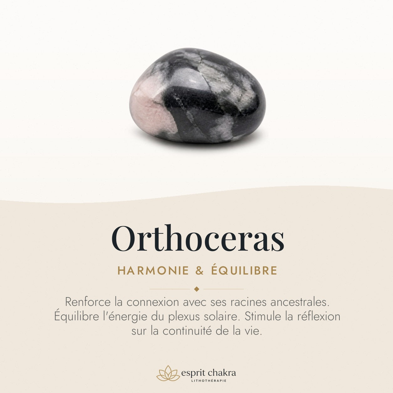 Bracelet Orthoceras 6 mm – Justesse Douce — vertus de la pierre