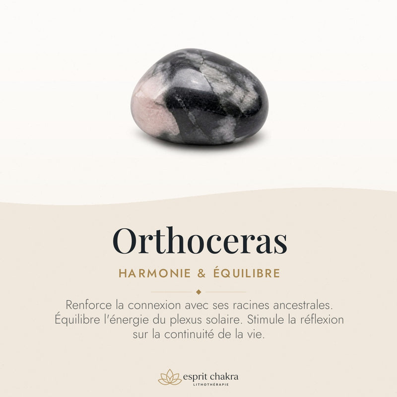 Bracelet Orthoceras 6 mm – Justesse Douce