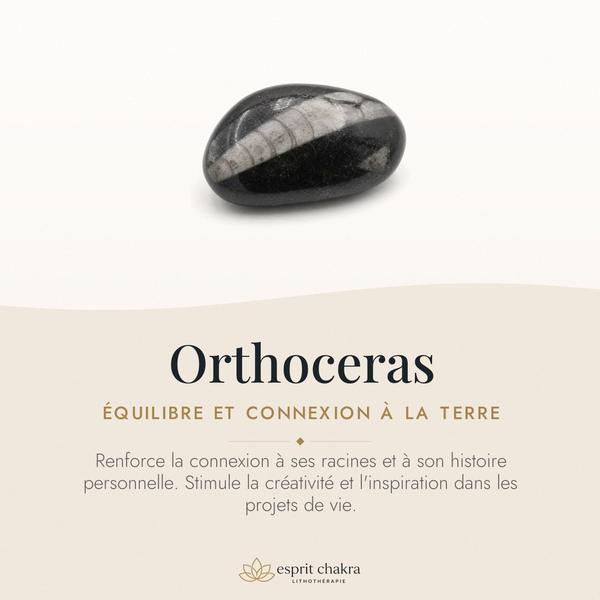 Bracelet Orthoceras 8 mm – Mesure Douce — vertus de la pierre