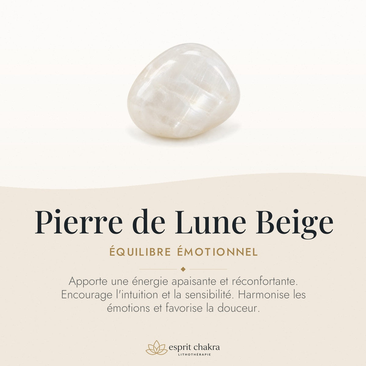 Bracelet Pierre de Lune Beige 6 mm – Équilibre des Humeurs — vertus de la pierre
