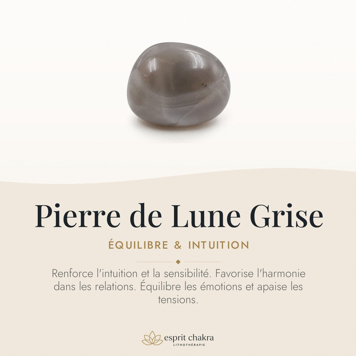 Bracelet Pierre de Lune Grise 10 mm – Intuition Calme — vertus de la pierre