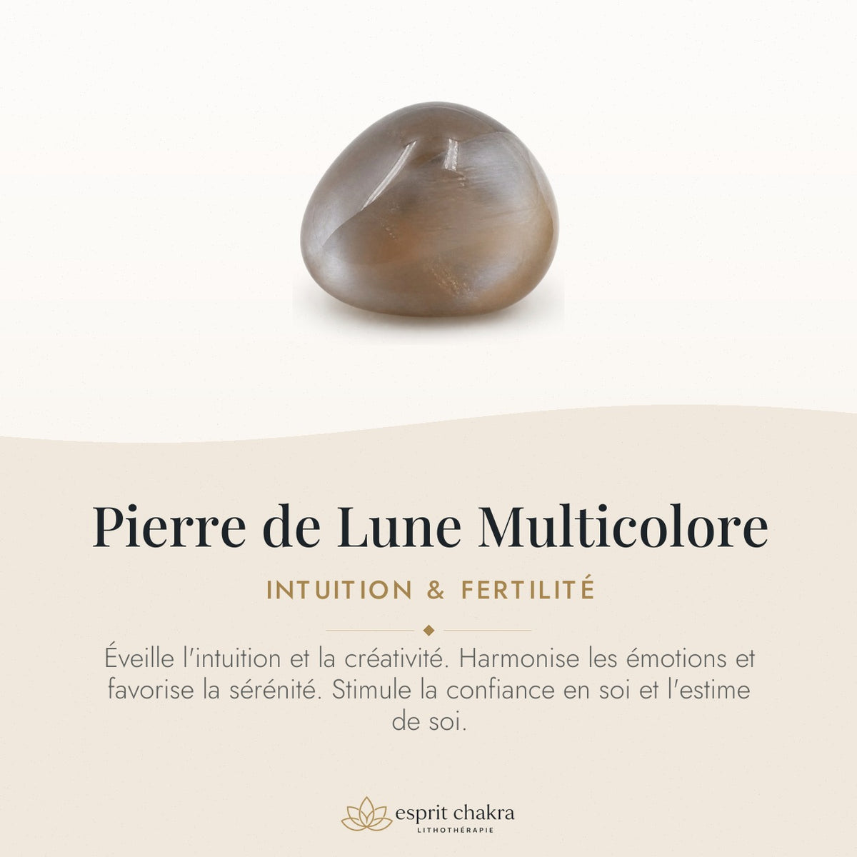 Bracelet Pierre de Lune Multicolore 10 mm – Harmonie des Passages — vertus de la pierre