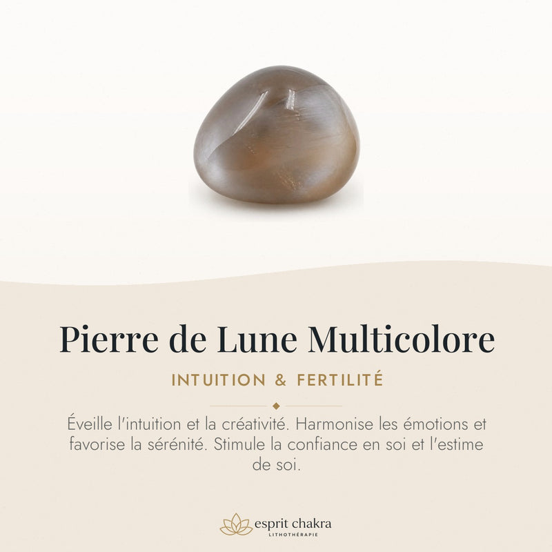 Bracelet Pierre de Lune Multicolore 10 mm – Harmonie des Passages