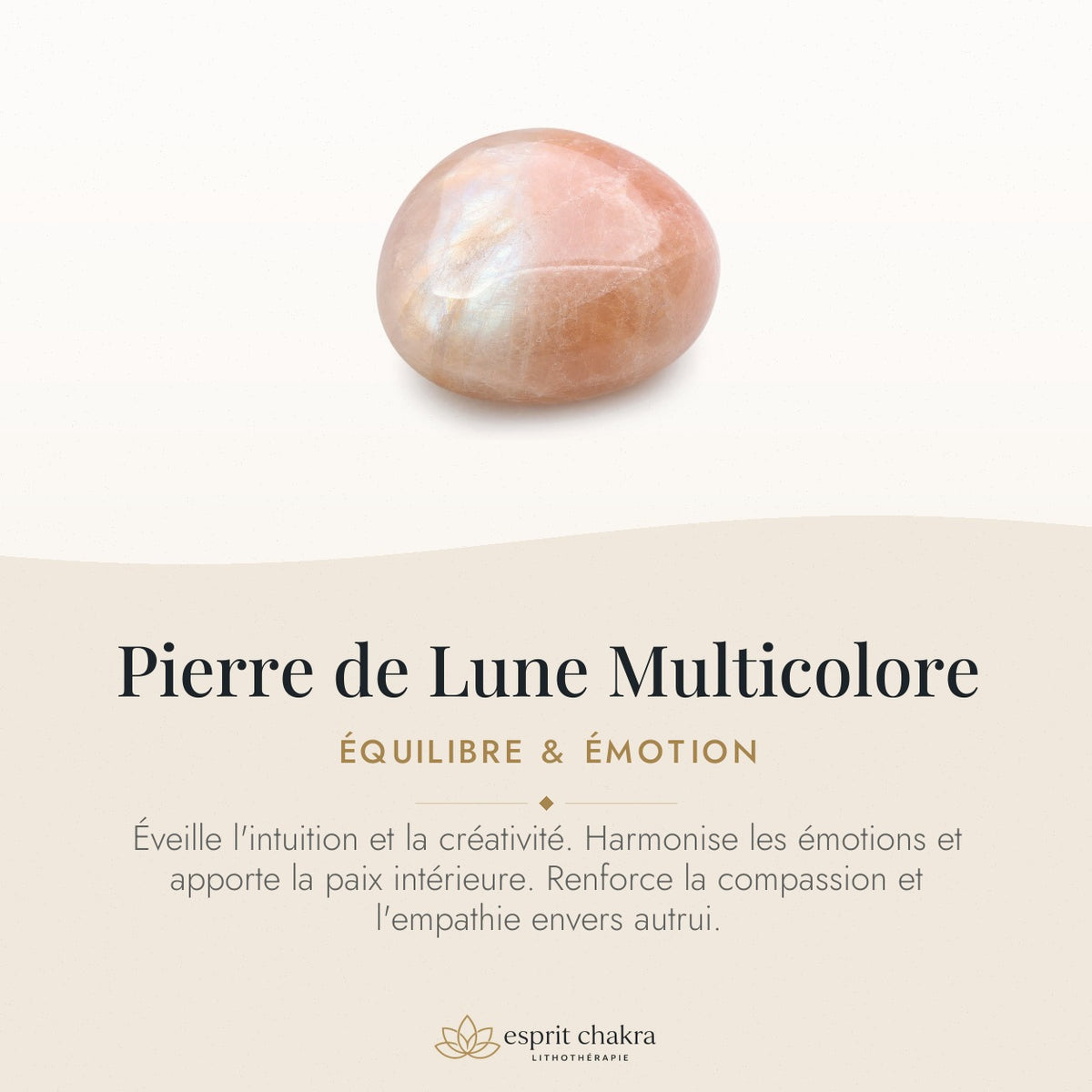 Bracelet Pierre de Lune Multicolore 8 mm – Bravoure Tranquille — vertus de la pierre