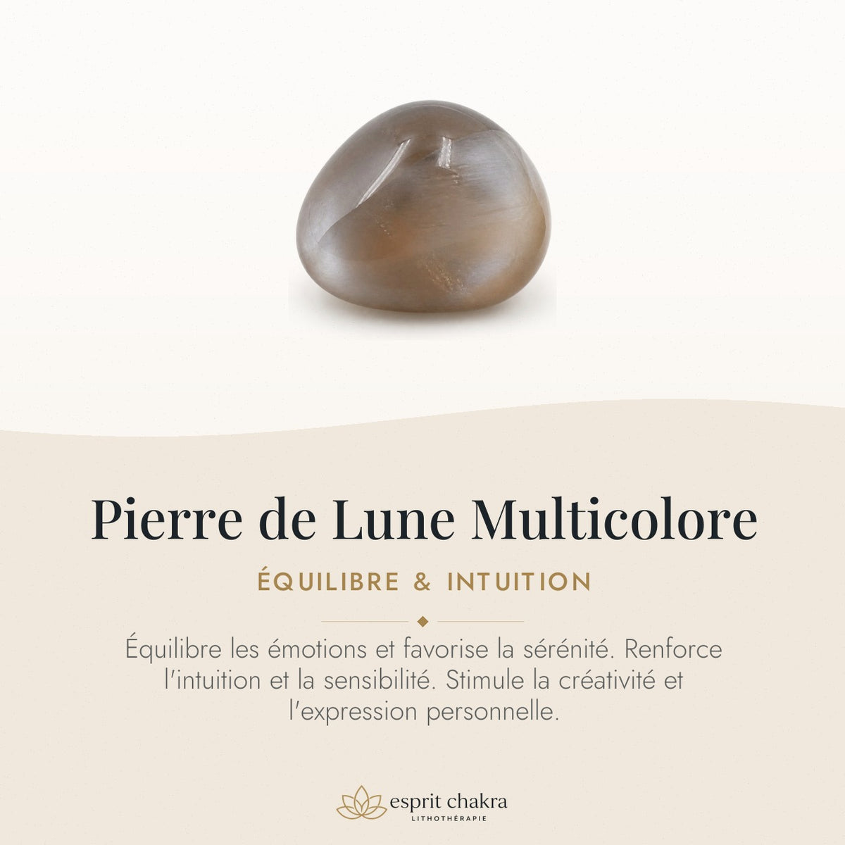 Bracelet Pierre de Lune Multicolore 8 mm – Endurance Douce — vertus de la pierre