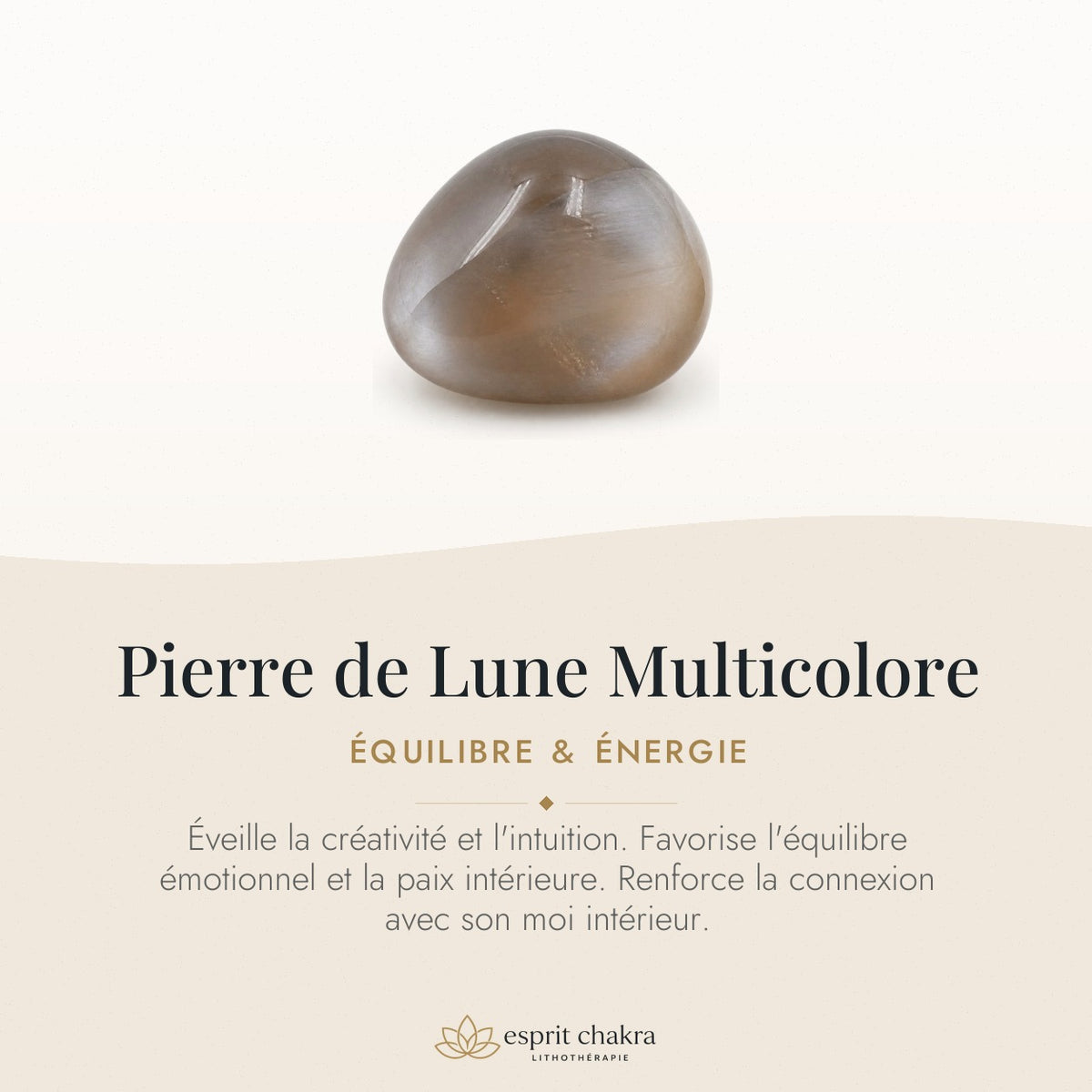 Bracelet Pierre de Lune Multicolore 8 mm – Patience Douce — vertus de la pierre