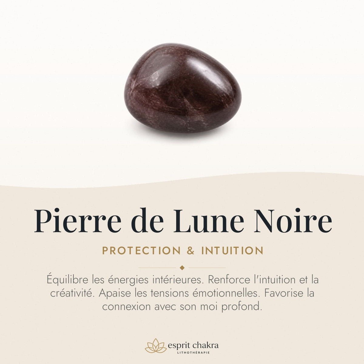 Bracelet Pierre de Lune Noire 10 mm – Intuition Nocturne — vertus de la pierre