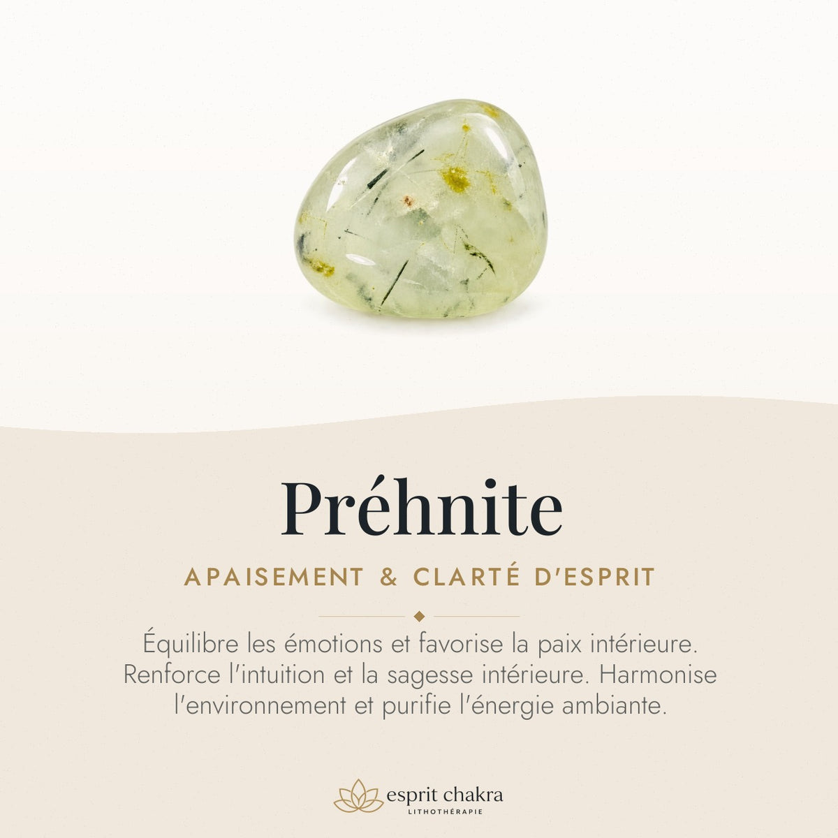 Bracelet Préhnite 6 mm – Écoute Harmonieuse — vertus de la pierre