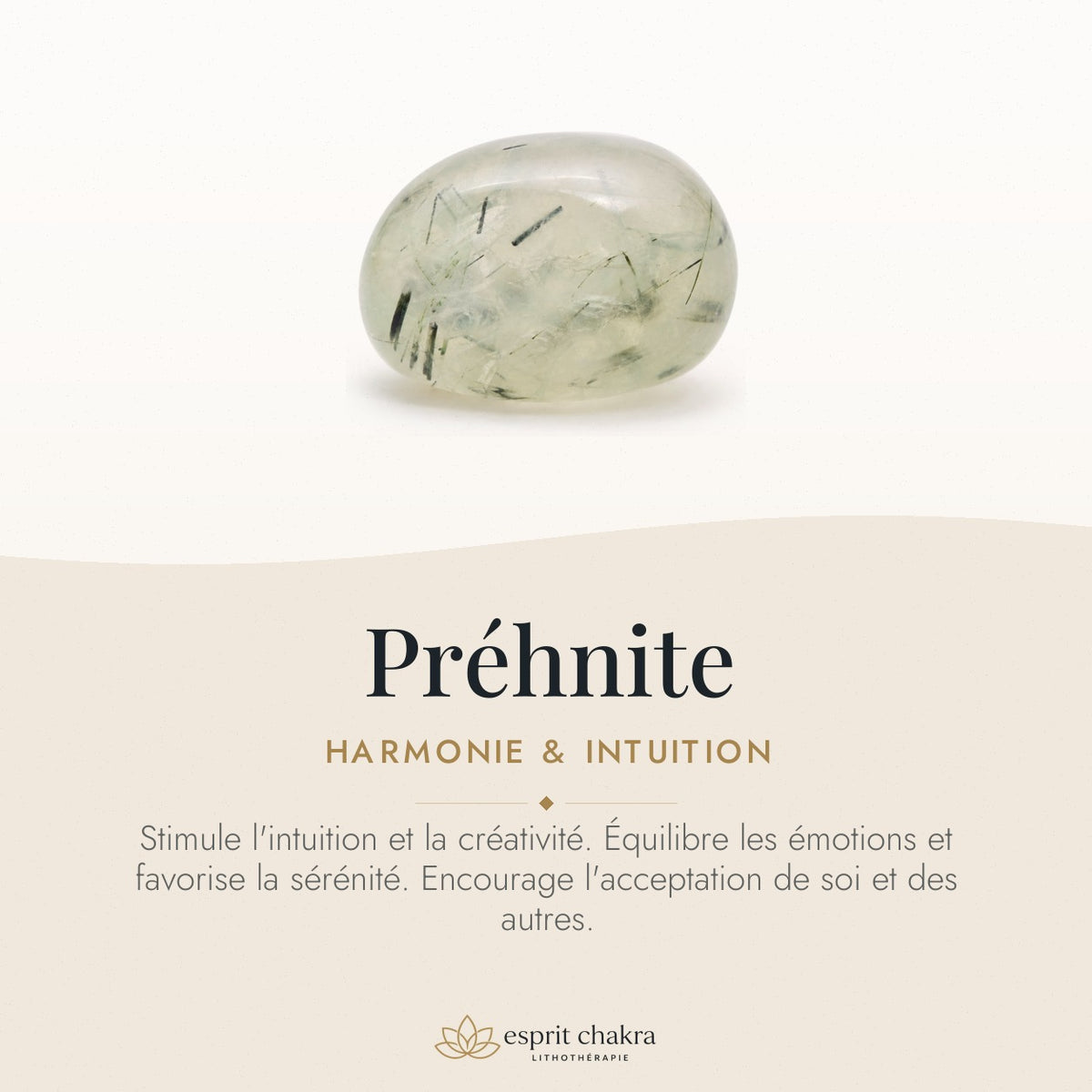 Bracelet Préhnite 8 mm – Aplomb Doux — vertus de la pierre