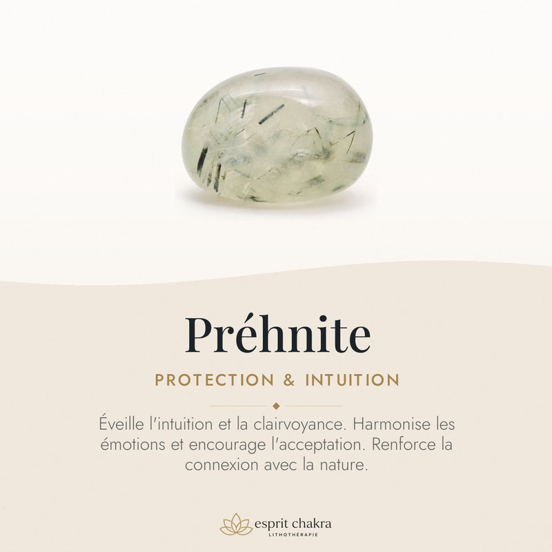 Bracelet Préhnite 8 mm – Discernement Doux