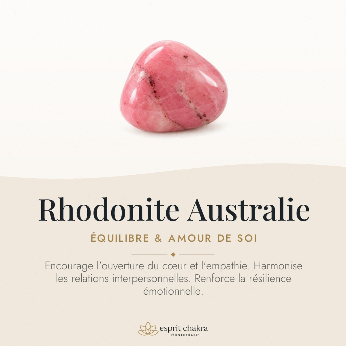 Bracelet Rhodonite 6 mm – Pardon Sincère — vertus de la pierre