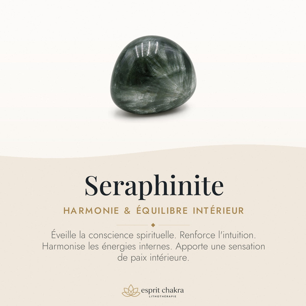 Bracelet Séraphinite 10 mm – Harmonie de l’Élévation — vertus de la pierre