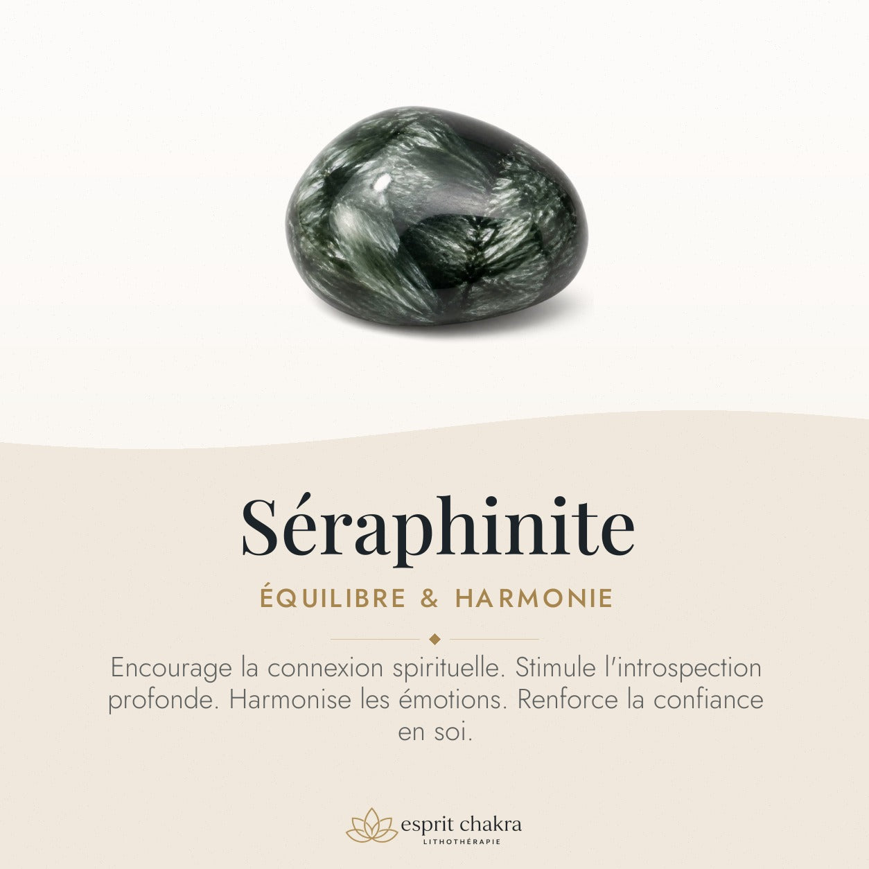 Bracelet Séraphinite 6 mm – Éveil Léger — vertus de la pierre