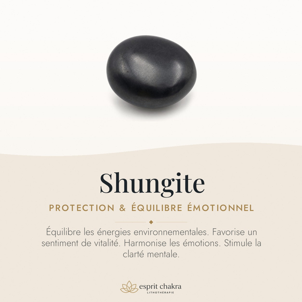 Bracelet Shungite 8 mm – Renouveau Léger — vertus de la pierre