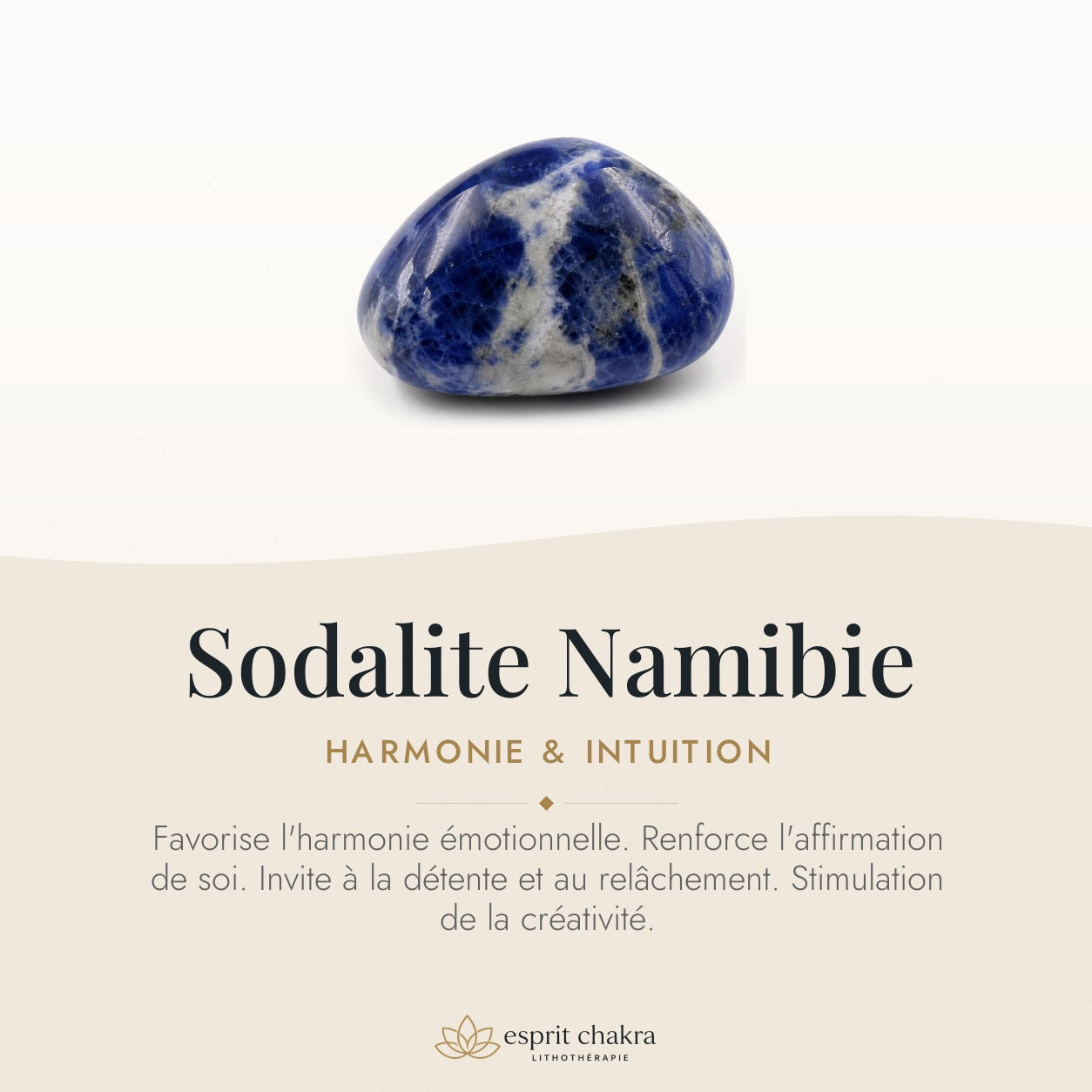 Bracelet Sodalite 8 mm – Netteté des Idées — vertus de la pierre