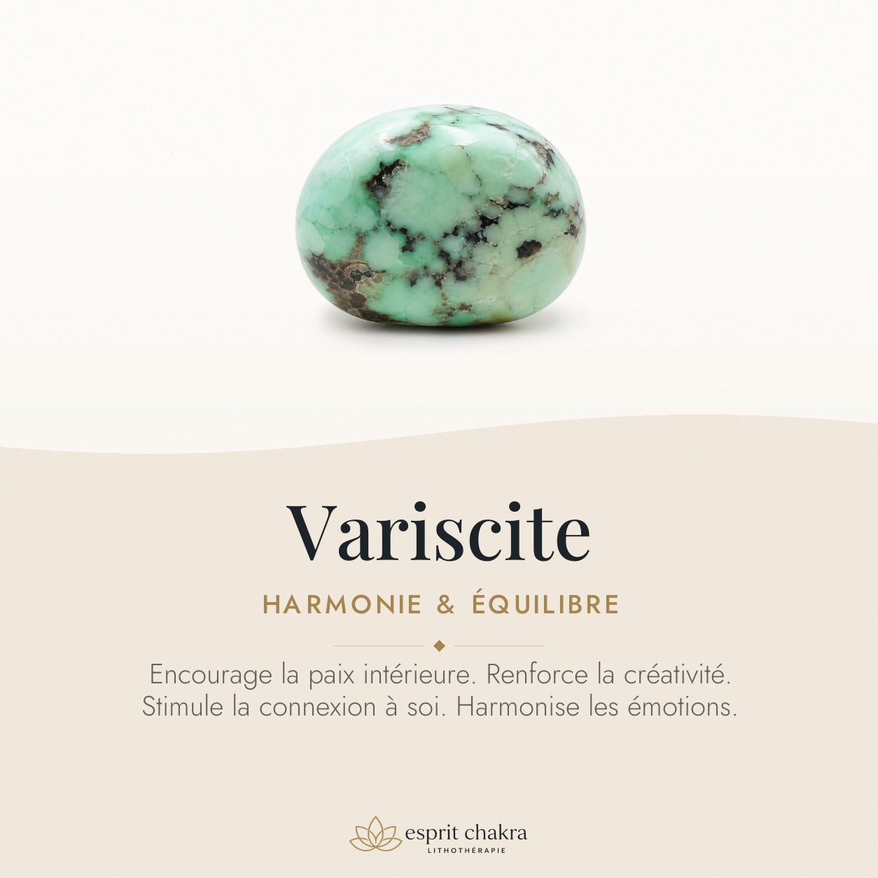 Bracelet Variscite 8 mm – Douceur de la Halte — vertus de la pierre